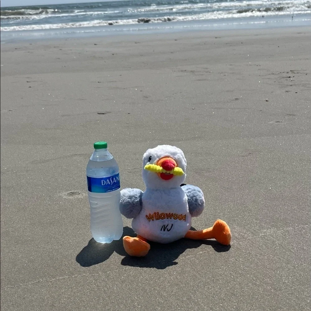 Seagull Plush Toy Wildwood NJ New Fry in his